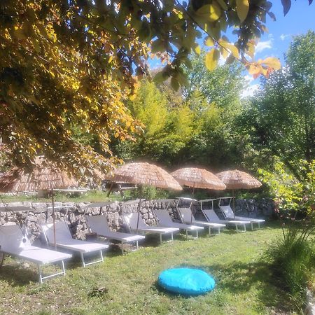Domaine Des Petites Soeurs A 800M Du Centre Historique Avec 5200M2 De Parc Arbore Vence Exteriör bild