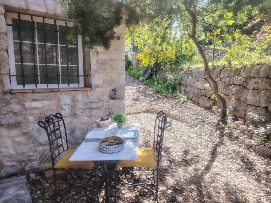Domaine Des Petites Soeurs A 800M Du Centre Historique Avec 5200M2 De Parc Arbore Vence Exteriör bild