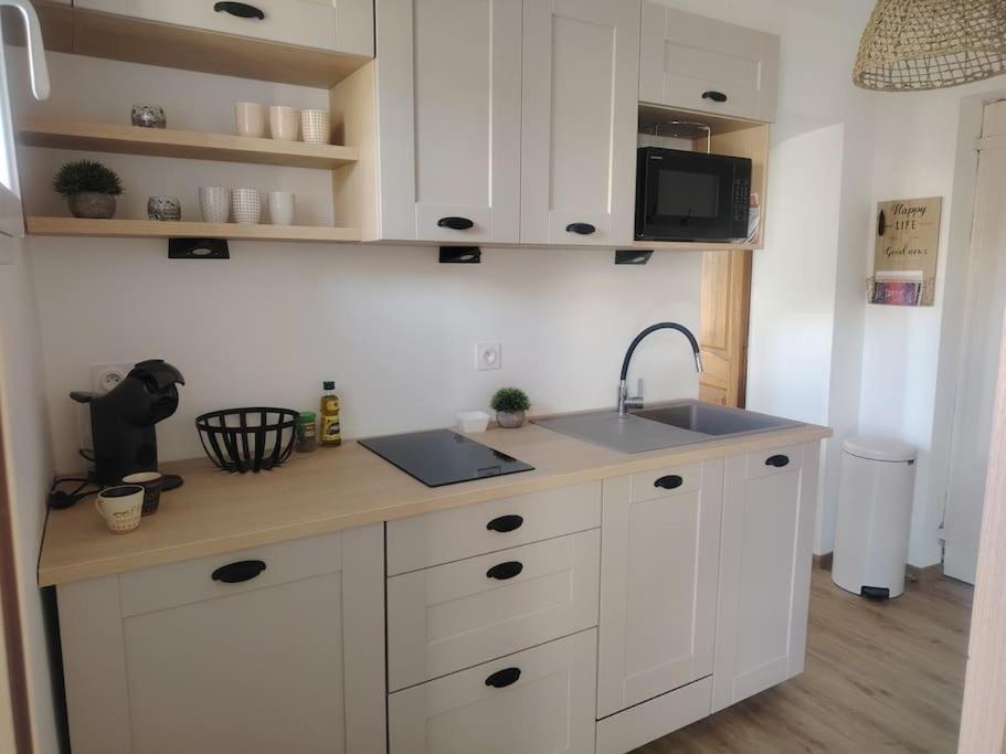Domaine Des Petites Soeurs A 800M Du Centre Historique Avec 5200M2 De Parc Arbore Vence Exteriör bild