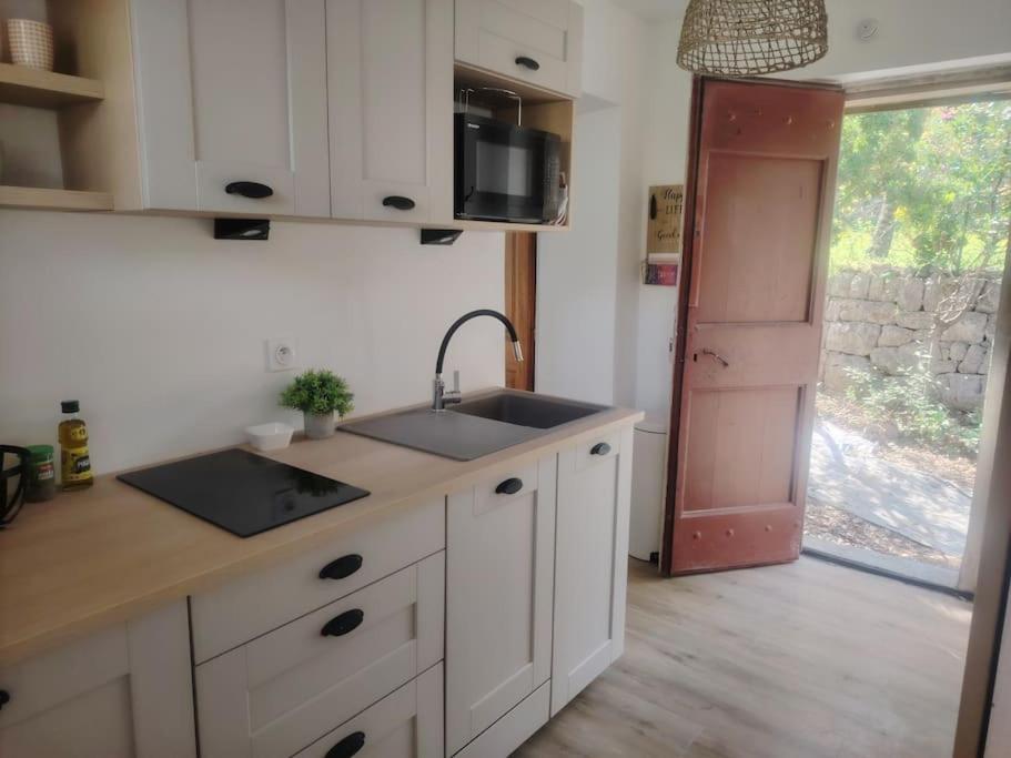 Domaine Des Petites Soeurs A 800M Du Centre Historique Avec 5200M2 De Parc Arbore Vence Exteriör bild