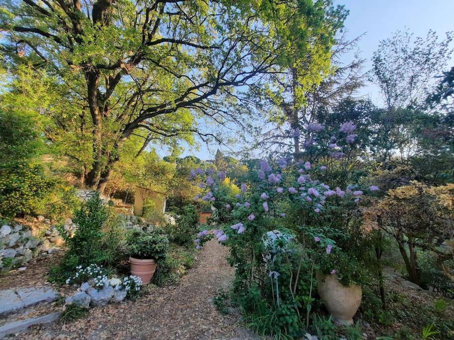 Domaine Des Petites Soeurs A 800M Du Centre Historique Avec 5200M2 De Parc Arbore Vence Exteriör bild