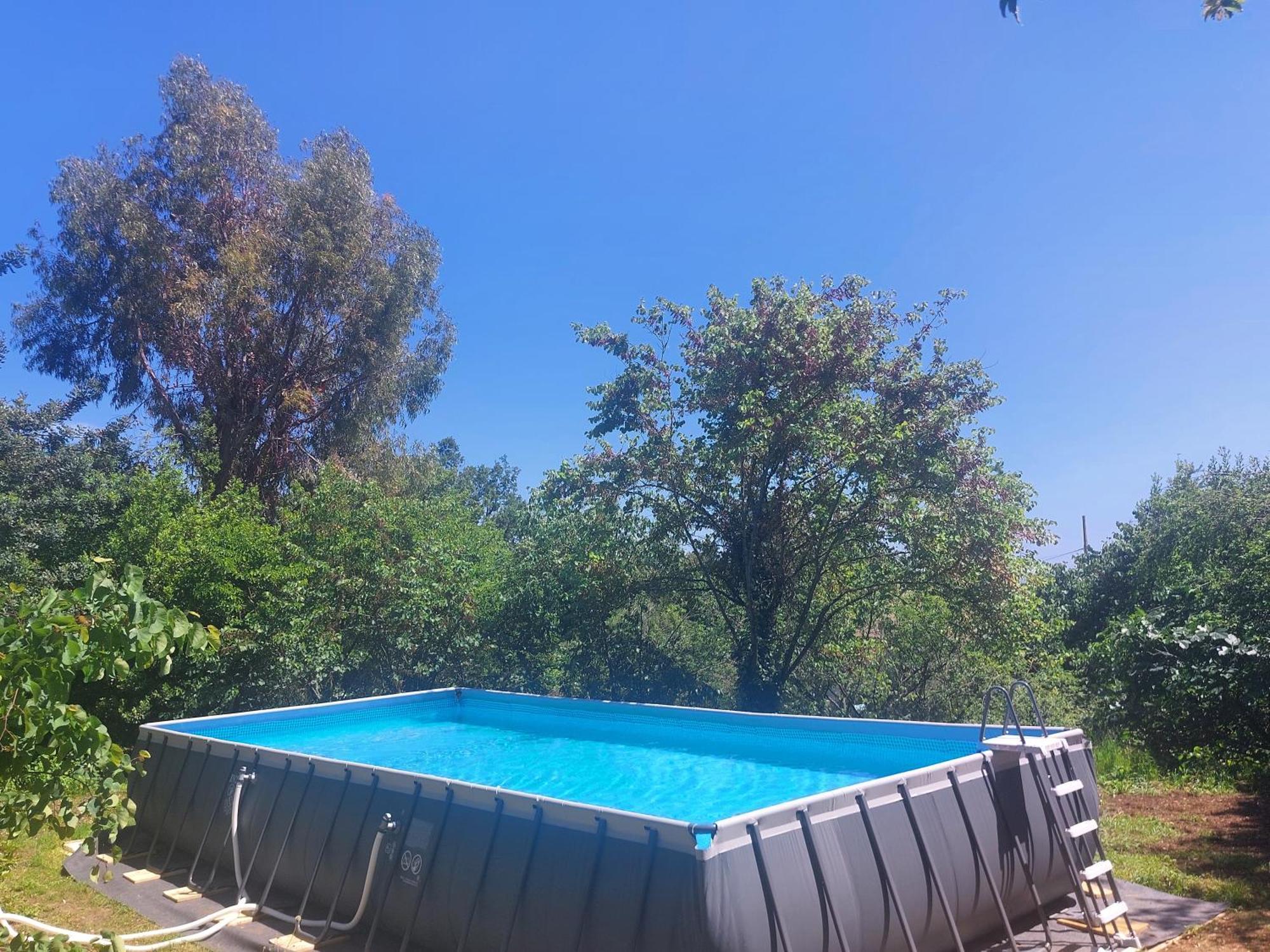 Domaine Des Petites Soeurs A 800M Du Centre Historique Avec 5200M2 De Parc Arbore Vence Rum bild