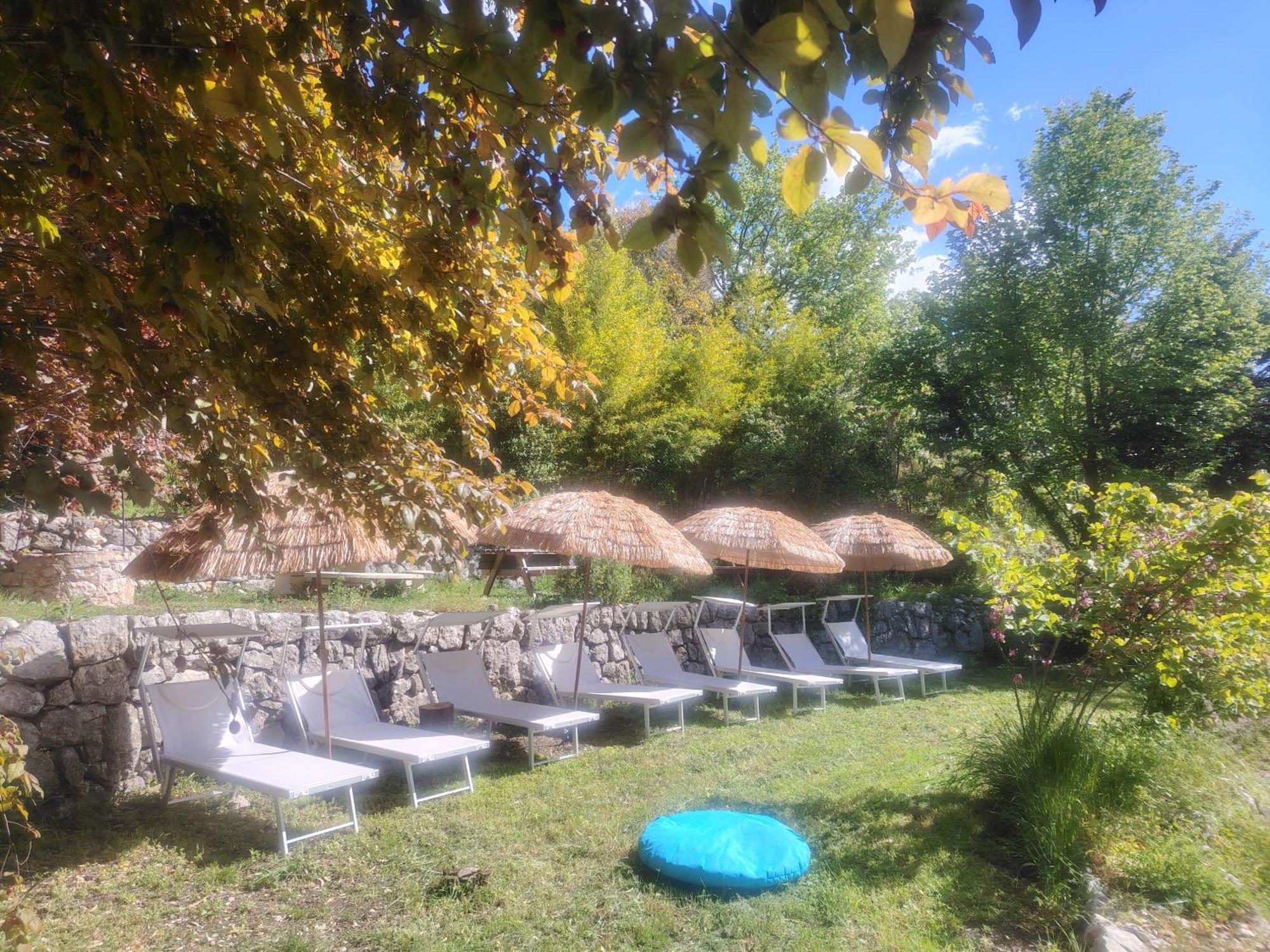 Domaine Des Petites Soeurs A 800M Du Centre Historique Avec 5200M2 De Parc Arbore Vence Exteriör bild