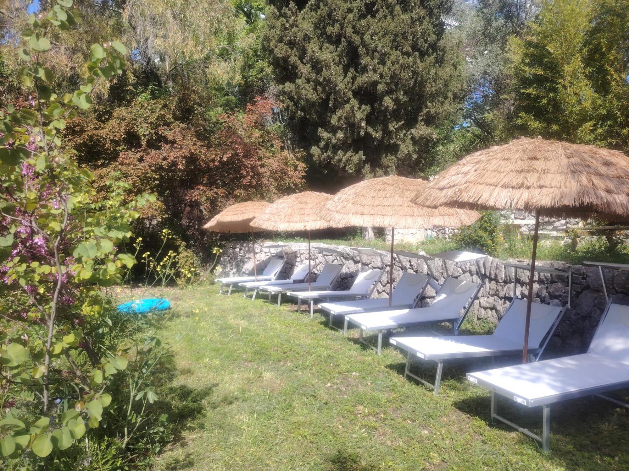 Domaine Des Petites Soeurs A 800M Du Centre Historique Avec 5200M2 De Parc Arbore Vence Exteriör bild